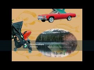 Elmo's World (Sesame Street) Quizzes Fish Movie 03 #elmosworld #chaoemperor