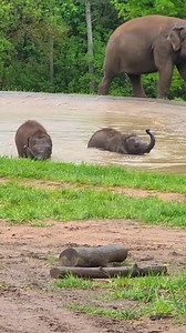 31K views · 1.9K reactions | The pool party continues! This time,...