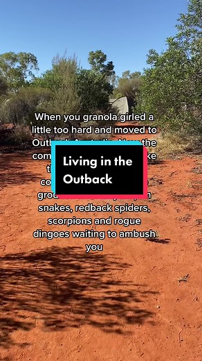 Everyday is an adventure when you live in the middle of nowhere in Australia and literally everything wants to kill you 😅 #australianoutback #australiantiktok #australianwildlife #redcentreaustralia #traveltiktok #solotravel #traveltok #backpackinglife #solofemaletraveler #realityoftravel #traveltips2023 #travelaustralia2023 #travelaustraliajob
