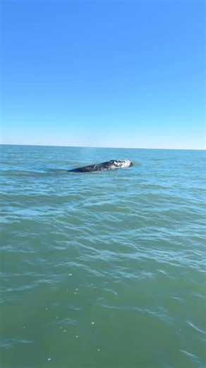 Never know what you’re going to see out there! | Bounty Hunter Guide Service