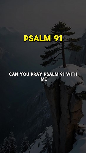 Psalm 91 #prayer #dailyprayer #bible #bibleverse #god #godisgood #jesus #jesuslovesyou #bible #bibleverse