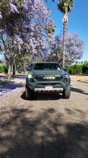 The Tacoma Trailhunter comes trail-ready with Old Man Emu shocks, an ARB rear bumper with recovery points, underbody armor, and a high-mount air intake—equipped for trails far beyond the pavement! Take it for a test drive today at Toyota of Riverside or visit us online at toyotaofriverside.com to explore our full lineup of adventure-ready Toyotas. #Toyota #Tacoma #Trailhunter #ToyotaOfRiverside | Toyota of Riverside