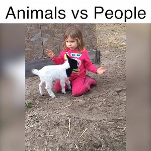1.9M views · 4.6K reactions | Who will win in this epic battle of animal versus human?! | America's Funniest Home Videos | Facebook
