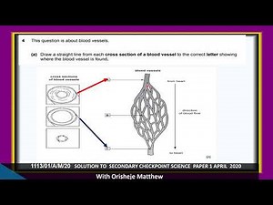 1113 paper 1 April 2020 Secondary Checkpoint Science Solved and Explained