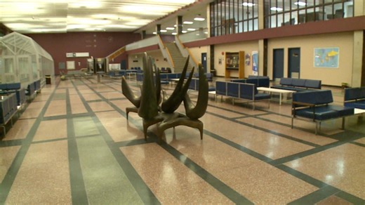 Gander airport future