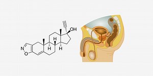 Drugs for Male Reproductive System Nursing Considerations & Management - RNpedia