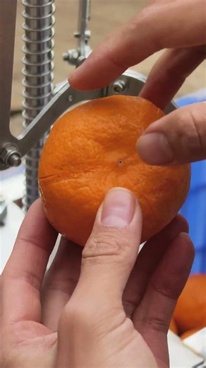 The orange quick peeling tool, what do you think of it? #tools #tips #diy #gadgets