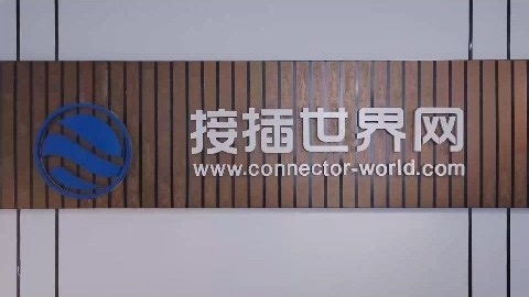 别再忽略汽车里的 “小零件”！汽车连接器虽小，却是保障车辆稳定运行的关键！