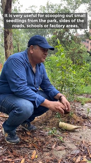 19K views · 557 reactions | Use Coconut Shells to dig out small seedlings from the ground. #coconutshells #diygardening #gardening #gardeninghacks | Peepal Baba | Facebook