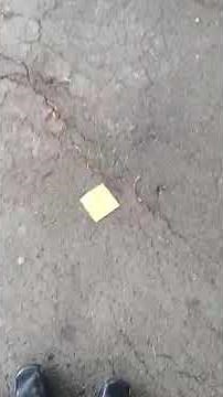 THE CHEESE TOUCH!! In Real Life (Diary of a Wimpy Kid)