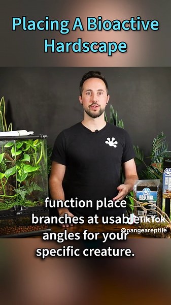 So, you've picked out your wood and stone for your bioactive enclosure, but how are you going to arrange it? The main things to consider when placing your bioactive hardscape are safety and functionality. You'll want to make sure everything is safely secured so your pet doesn't get squished, and that the elements you place serve a purpose in the enclosure wherever they are positioned. Check out our YouTube video on things to consider for a Bioactive Enclosure and its accompanying blog post so yo
