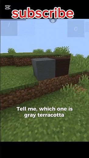 "Minecraft Terracotta Makes ZERO Sense 😭"