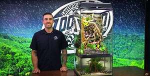 2.1K views · 38 reactions | Watch our sales rep Ryan do a step by step build of a Paludarium! | Zoo Med Laboratories, Inc. | Facebook
