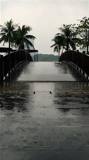 🌧️ Sleep Instantly | Park Bridge Rain ASMR | Deep Sleep