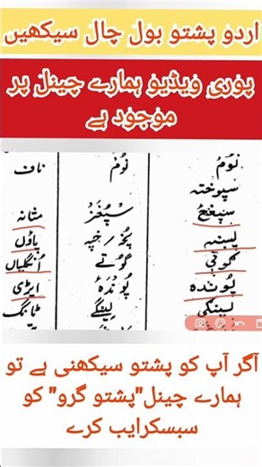 Learn Pashto Vocabulary for Body Parts #shorts #shortvideo #pashtolanguage