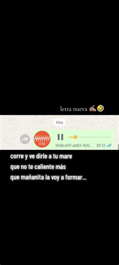 Bulería flamenca: Letra divertida y fresca