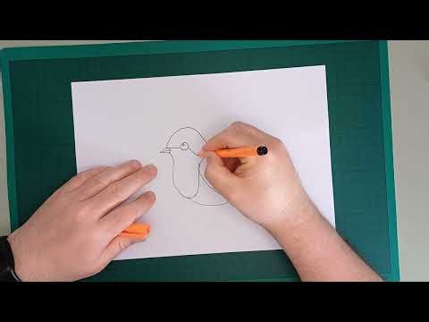 Draw Along with Rob! Robin