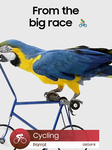 All your favorite OTT content, easily accessible in one place. Find out more at www.samsung.com #Olympics #SmartTVapps #SmartMonitor #Samsung