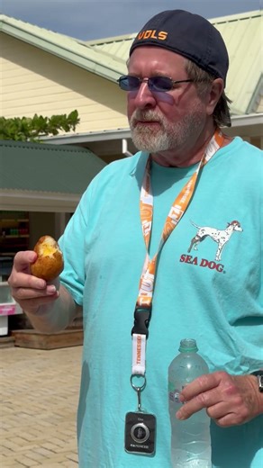 GREAT FOODIE COMFORT FOOD