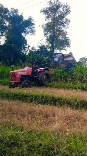 Tractor & Harvester Take on the Impossible Paddy Field! #tractor #machinerychannel