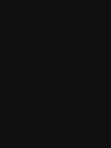 Formidable Vegetable on Reels