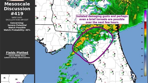 Storms knock out electricity across North Florida. See the latest with power tracker map