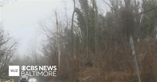 Residents in Baltimore's Windsor Hills oppose city's deer management program