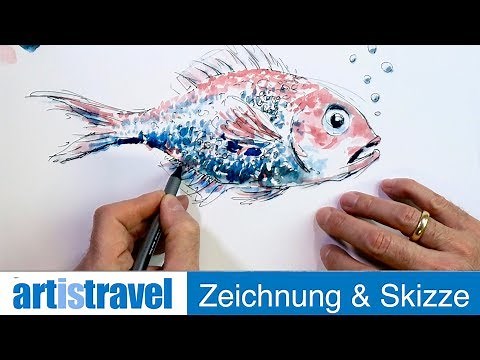 Einen Fisch zeichnen und aquarellieren | Ganz einfach zeichnen lernen 22