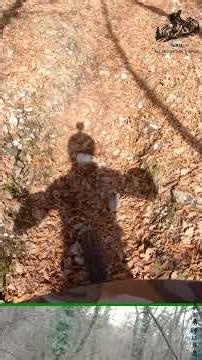 Servis - Corzen - Pomarolo 07.02.26 Highlights