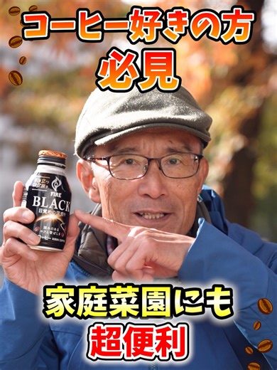 コーヒーかすを活用した野菜栽培のススメ