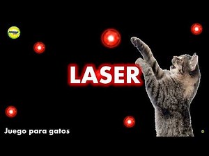 Moving Laser Pointer Game for Cats 🔴 | Mental Stimulation and Stress Relief