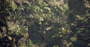 Predator: Hunting Grounds might fix the Predator problem - VideoGamer