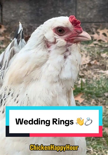 Why Wedding Rings Are Worn on the Left Hand