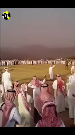 15K views · 349 reactions | Why Falling Bullet don't hit | FactlineTv official | Facebook