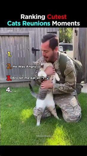 Ranking the Most Emotional Cat Moments Ever 🐱#cat