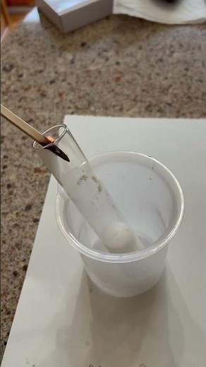 Decomposition of Hydrogen Peroxide: Reigniting a Splint