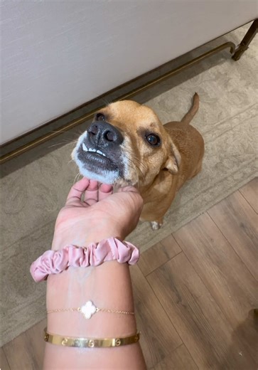 I aspire to be like mom when packing… but I fear I will always be a procrastinator 😭 #theaguilars #family #sister