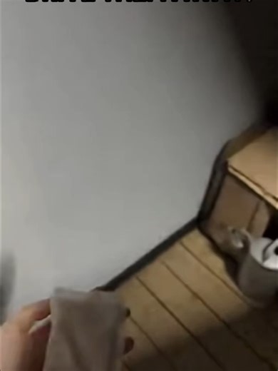 Effective Rodent Control: Keep Your Home Mice-Free