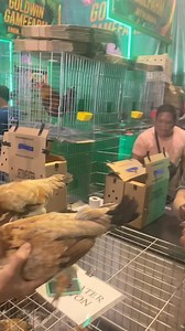 Jet Sweater of Mr.Jet Olaguer | LB Risktaker GF