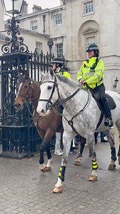 12 reactions | The mounted police are standing by, ready to cross the road. Horse Guards London. #reels #mountedpolice #highlights2025 | Around London | Facebook