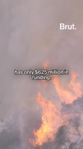 Florida is building a detention center in the Everglades, unofficially dubbed “Alligator Alcatraz,” where swamps and wildlife act as natural barriers. Backed by emergency powers and FEMA reimbursements, the site may house up to 5,000 detainees in tents and trailers. Critics warn of environmental damage and rights violations. #AlligatorAlcatraz #EvergladesDetention #FEMA #ImmigrationPolicy #EnvironmentalJustice #HumanRights #FloridaNews | Brut