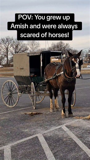 149K views · 540 reactions | I grew up with too many wild horses... #examishgirl #amishblog #amish #horses #wildhorses | My Amish Heritage | Facebook