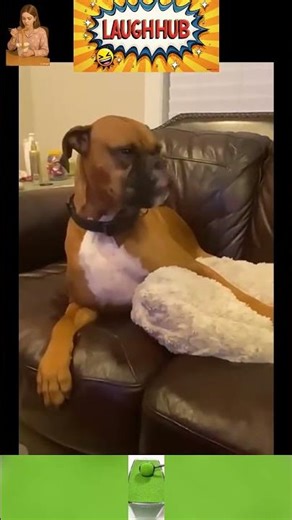 That Step Looked Harmless 😬