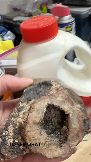 11K views · 223 reactions | How to clean ugly rocks #Geology #IronOut #DIYCleaning #IronOutOfCrystals #Crystals #inAppropriateRock #Funny #YouTuber #Prospecting #Crystals #Minerals #Geology #GeologyCommunicator #ScienceCommunicator #Nerd #GeekGirl #Science | Elley Knows Rocks | Facebook