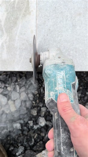 Transforming a Struggling Garden Back to Life