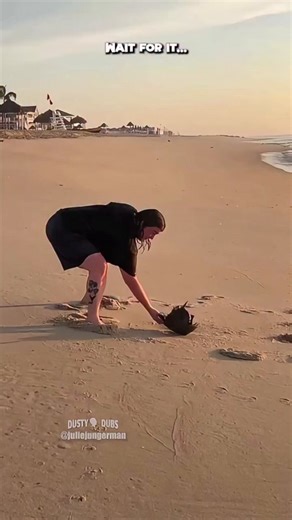 NEVER pick up a horseshoe crab by its telson (stick). It's valuble to the survival of the crab & is not designed to hold the crab's weight up. The crab's ability to turn itself over & in hunting food is lost when the stick tears away from its shell. Use the crab's sides to lift.