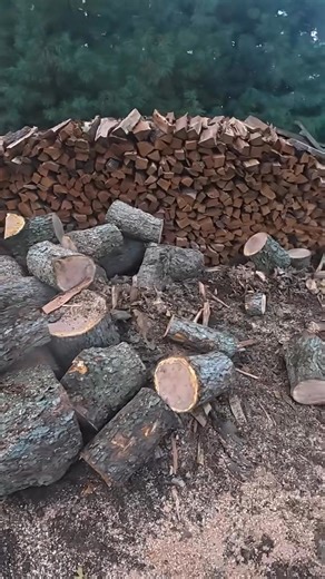  Quality Firewood for Sale – Ready for Winter! 蝹❄️Stock up now and...
