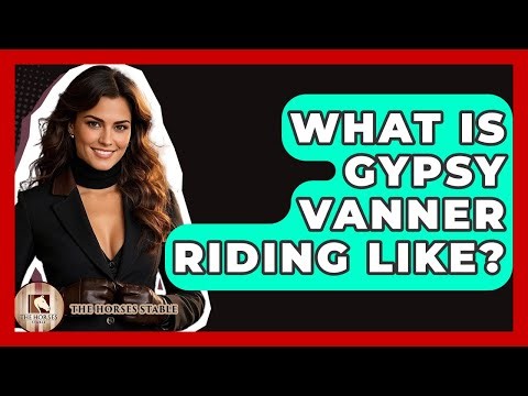 What Is Gypsy Vanner Riding Like? - The Horses Stable