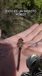 Este hombre creo Un INSECTO ROBOT 😧 #insecto #robot #inteligenciaartificial #ia #tecnologia | Aliens y Conspiración