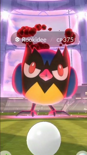 🪽⚡ DYNAMAX ROOKIDEE EVOLUTION! ⚡🪽 #pokemongo #catchlegendarypokemon #catchlegendarypokemon #pokemon